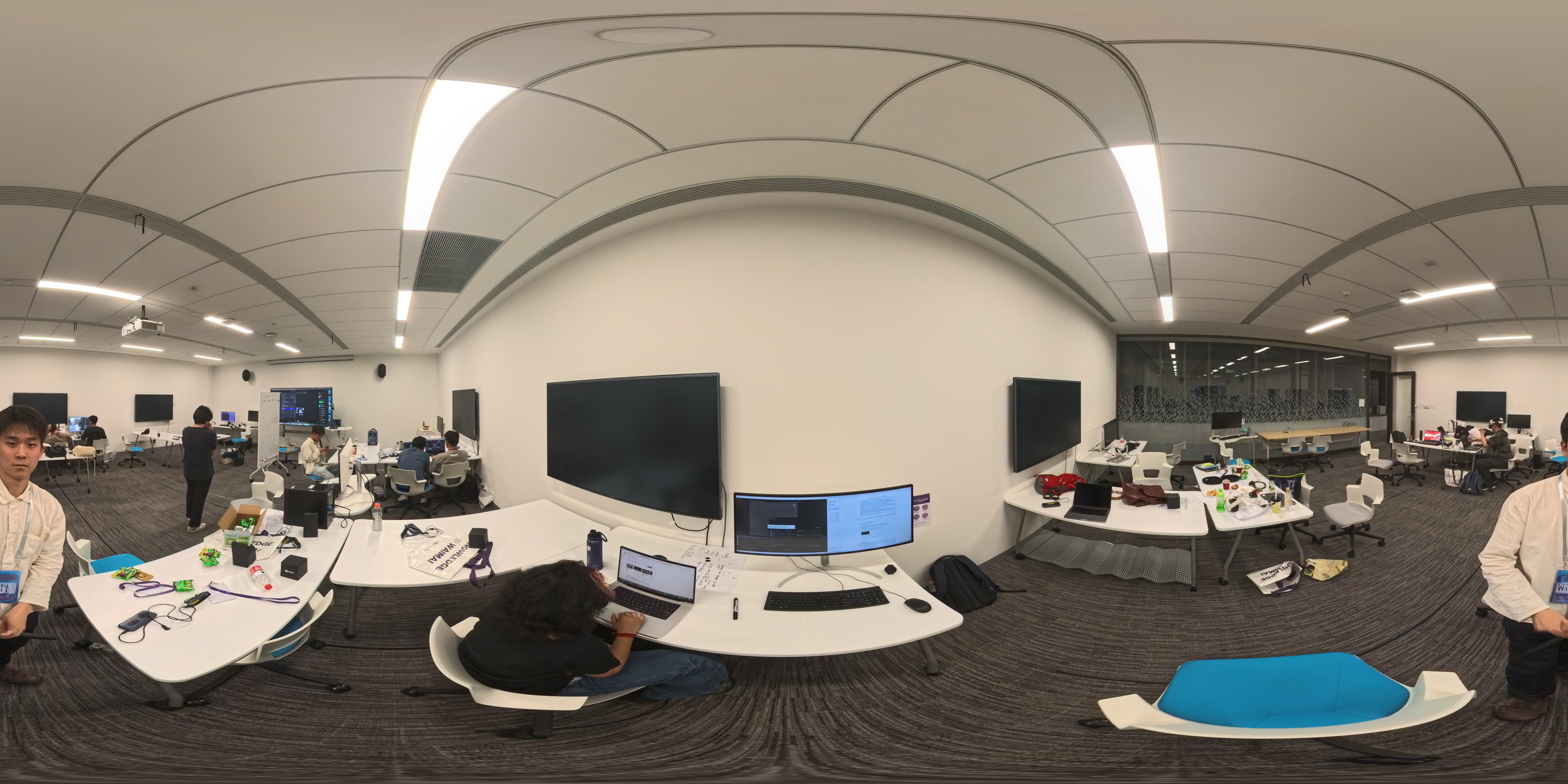 Crazy Racoon grinding at 4am