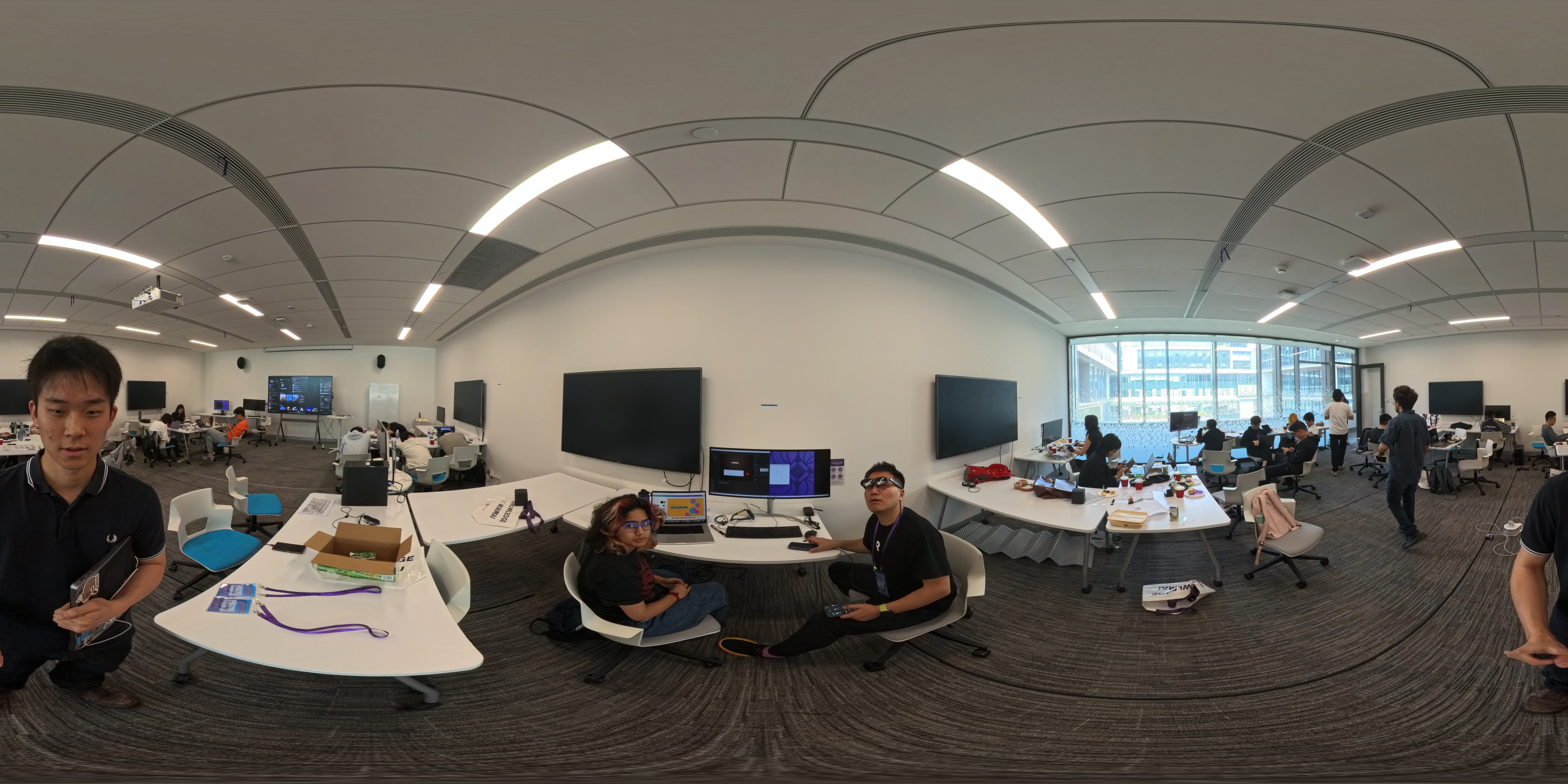 A Crazy Racoon at the end