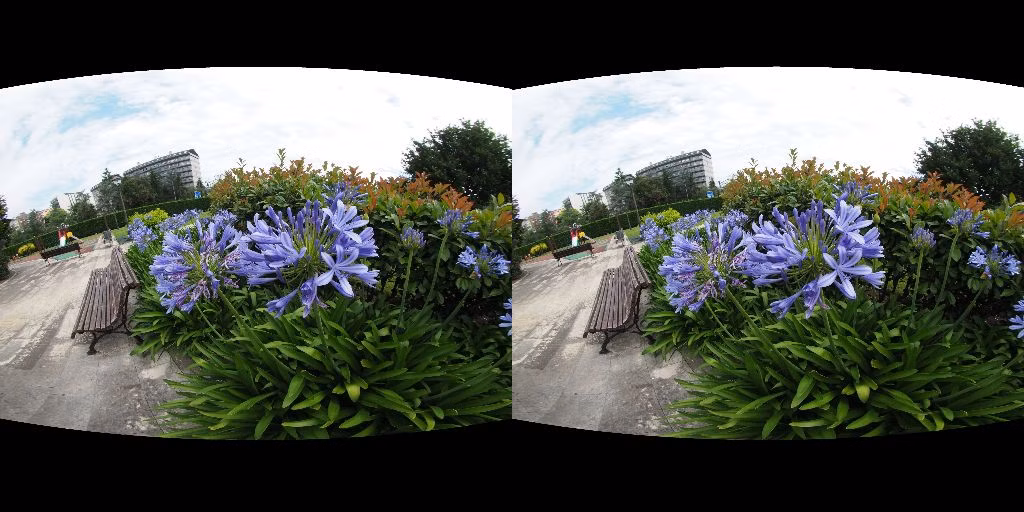 Flower Hypostereo
